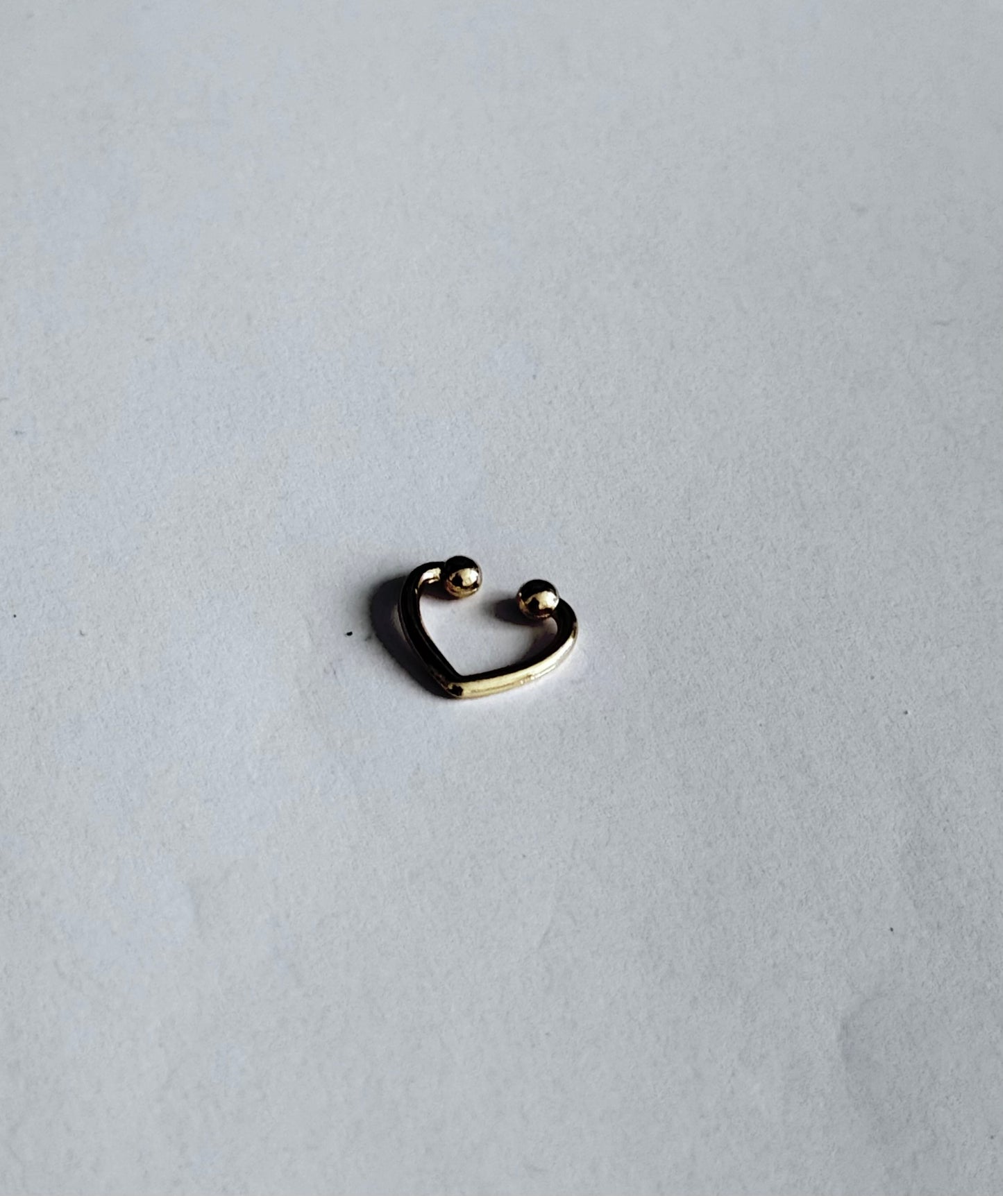 Renske Earcuff