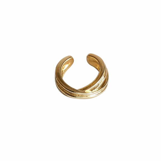Verena Earcuff