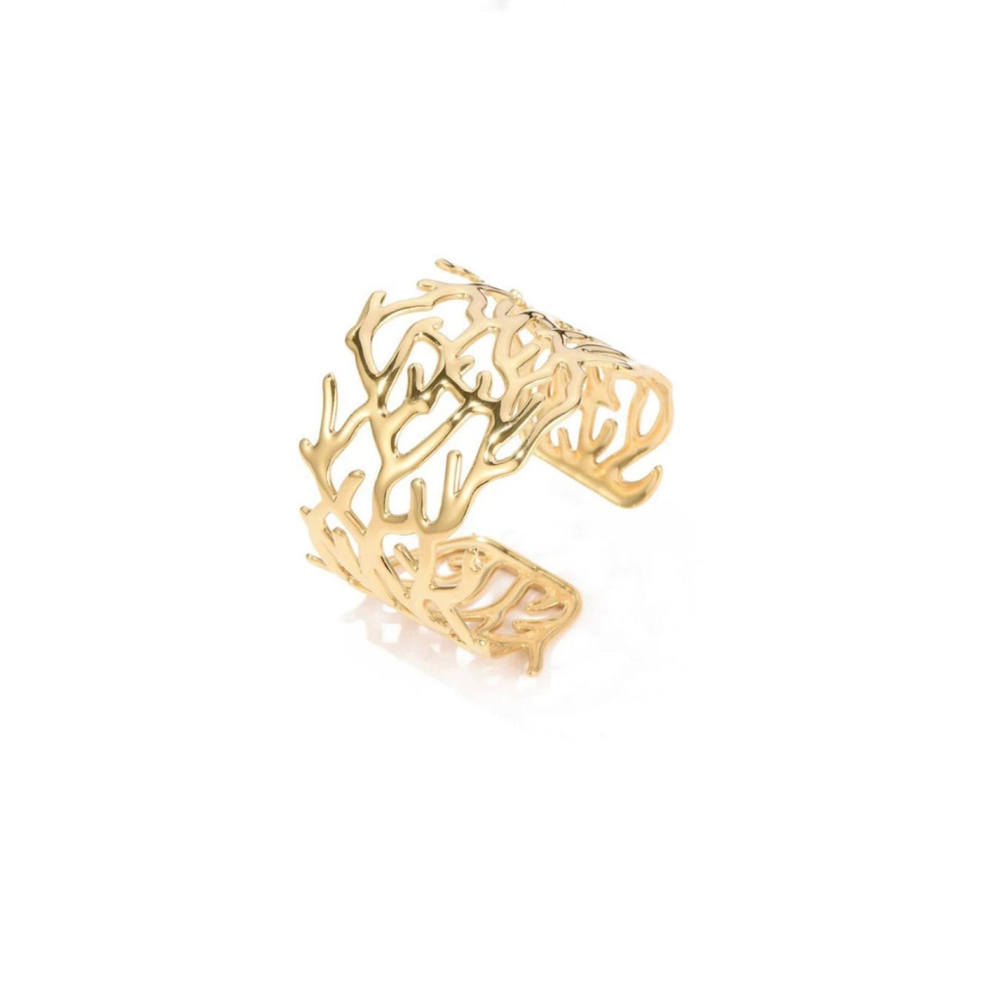 Ring Sea Reef